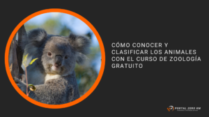 Cómo conocer y clasificar los animales con el curso de zoología gratuito
