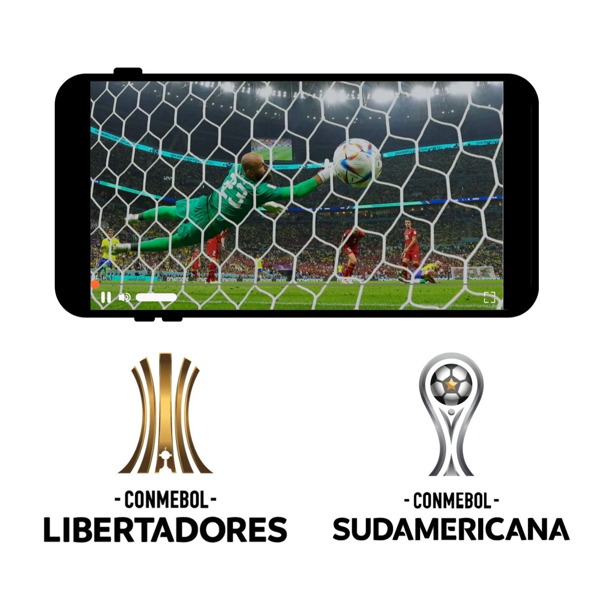 Copa Libertadores y Sudamericana