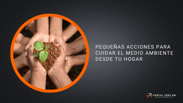 Pequeñas acciones para cuidar el medio ambiente desde tu hogar